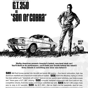 ShelbyGT 350 Print Werbung &quot;Son of Cobra&quot; - Restauriert und Remastered