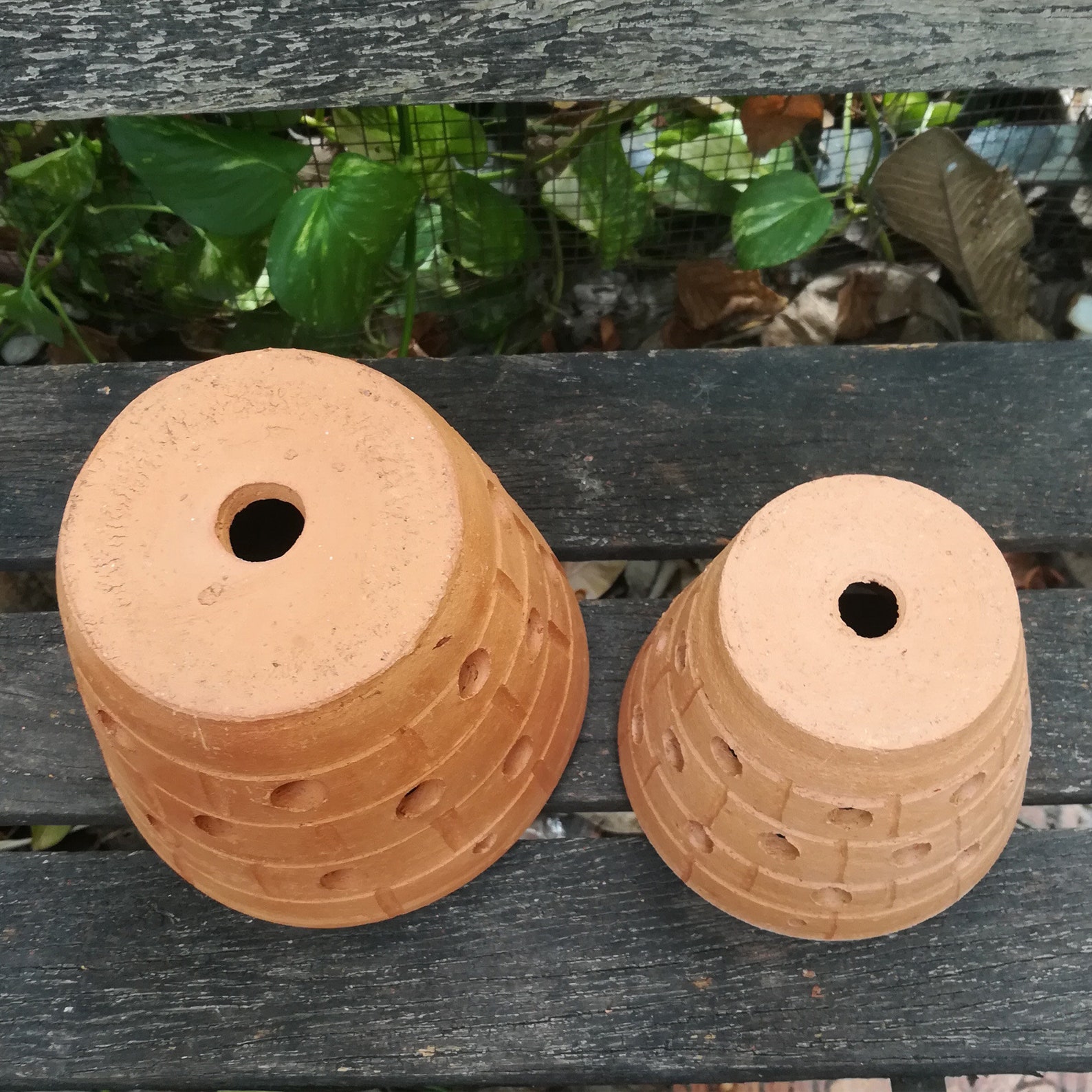 5 inch Red Clay Terracotta Orchid Air Plant Pot with holes Etsy