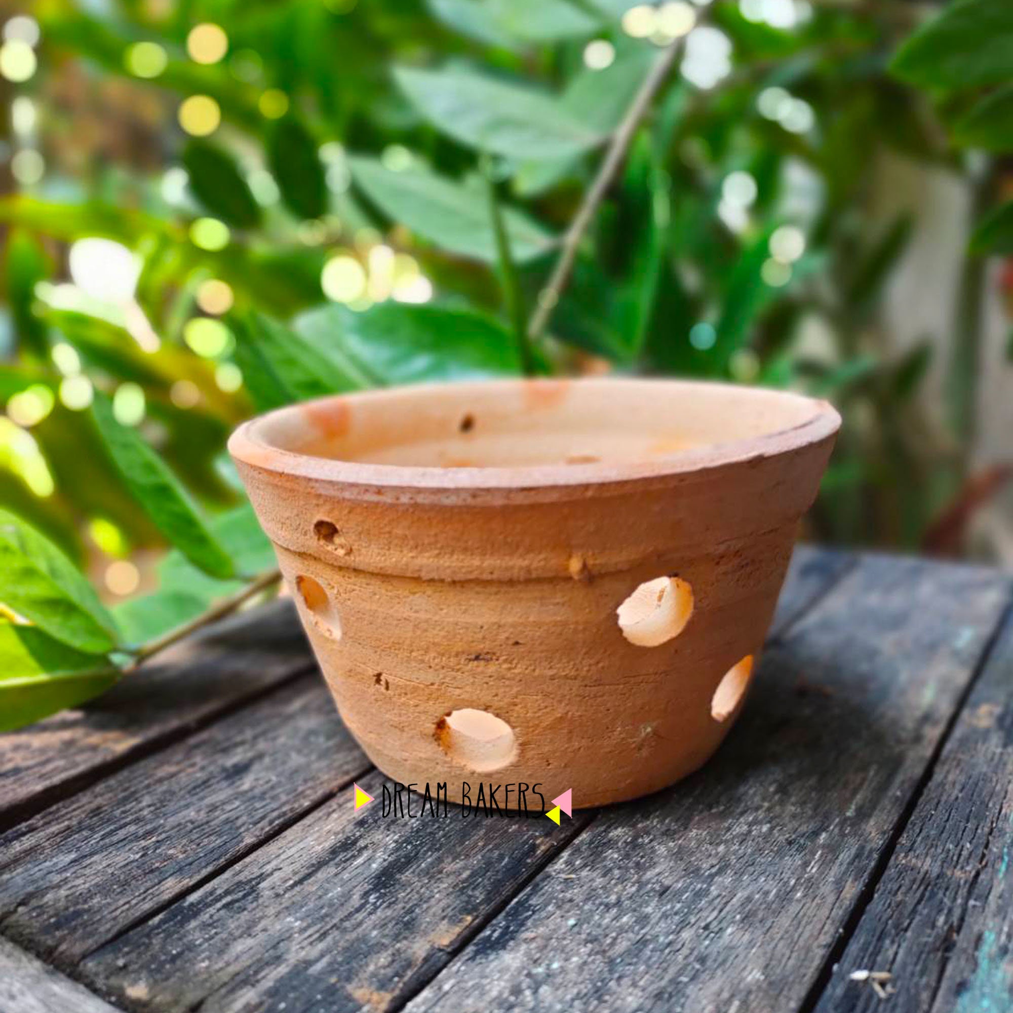 Great for Plants and Crafts 5-6" Clay Pots 