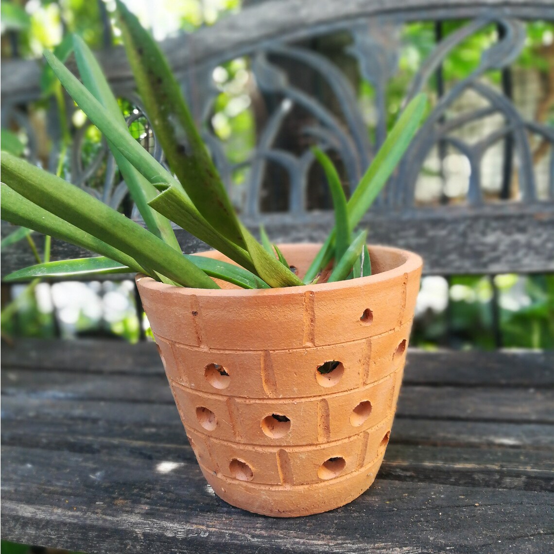 5 inch Red Clay Terracotta Orchid Air Plant Pot with holes Etsy