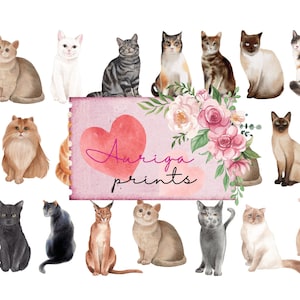 65 Pcs Cats Fussy Cut Printable - Vintage Cat Ephemera for Junk Journals | Cat Digital Kit, Cat Stickers, Scrapbooking, Printable Kitten Art