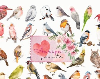 70 piezas de pájaros recortables imprimibles: efímeras de pájaros vintage para diarios basura, hojas de collage digital de pájaros, suministros para manualidades de pájaros imprimibles