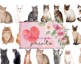 65 Pcs Cats Fussy Cut Printable - Vintage Cat Ephemera for Junk Journals | Cat Digital Kit, Cat Stickers, Scrapbooking, Printable Kitten Art