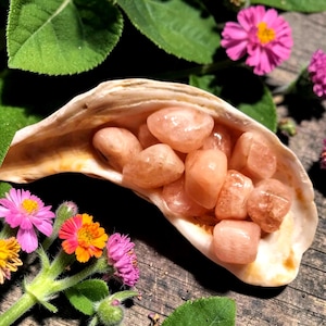 Morganite Natural Gemstone Crystal Heart Chakra Healing Forgiveness Altar Tools High Vibration Limited Supply Sublime Reiki Talisman Stone