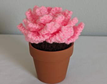 Hand Knit Pink Succulent in 3" Terracotta Pot: Faux House Plant Decor