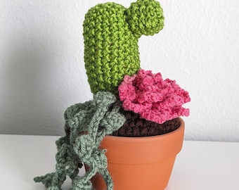 Hand Knit Cactus Garden: Faux Succulent in Terracotta Pot