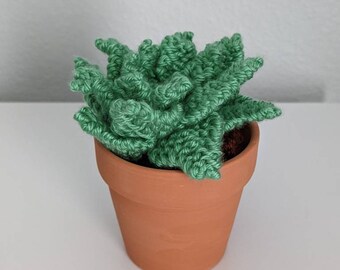 Hand Knit Succulent in 3" Terracotta Pot: Faux House Plant Decor