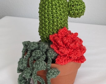 Hand Knit Cactus Garden: Red Succulent, String of Pearls in 4" Terracotta Pot