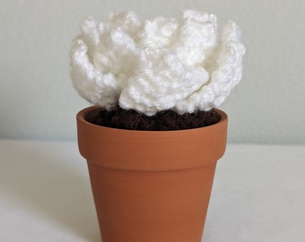 Hand Knit White Succulent in 3" Terracotta Pot: Faux House Plant Decor