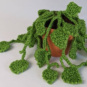 May include: A crocheted green plant with long trailing vines in a brown pot. The plant is made of yarn and is a realistic representation of a houseplant.