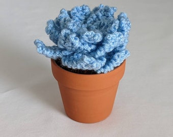 Hand Knit Blue Succulent in 3" Terracotta Pot: Faux House Plant Decor