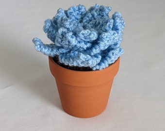 Hand Knit Blue Succulent with 3" Terracotta Pot Fake Faux Indoor House Plant Garden Home Decor Ready to Ship Gift