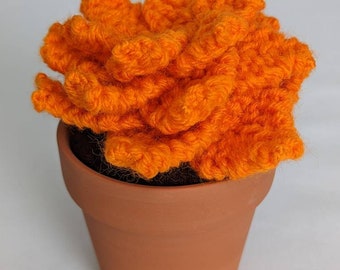 Hand Knit Orange Succulent with 3" Terracotta Pot Faux Indoor House Plant Garden Home Decor Ready to Ship Housewarming Gift