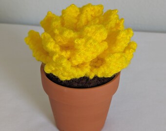 Hand Knit Yellow Succulent in 3" Terracotta Pot: Faux House Plant Decor