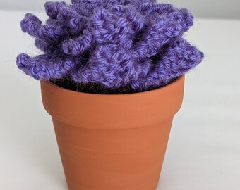 Hand Knit Purple Succulent with 3" Terracotta Pot Fake Faux Indoor House Plant Garden Home Decor Ready to Ship Gift