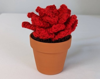 Hand Knit Red Succulent in 3" Terracotta Pot: Faux House Plant Decor