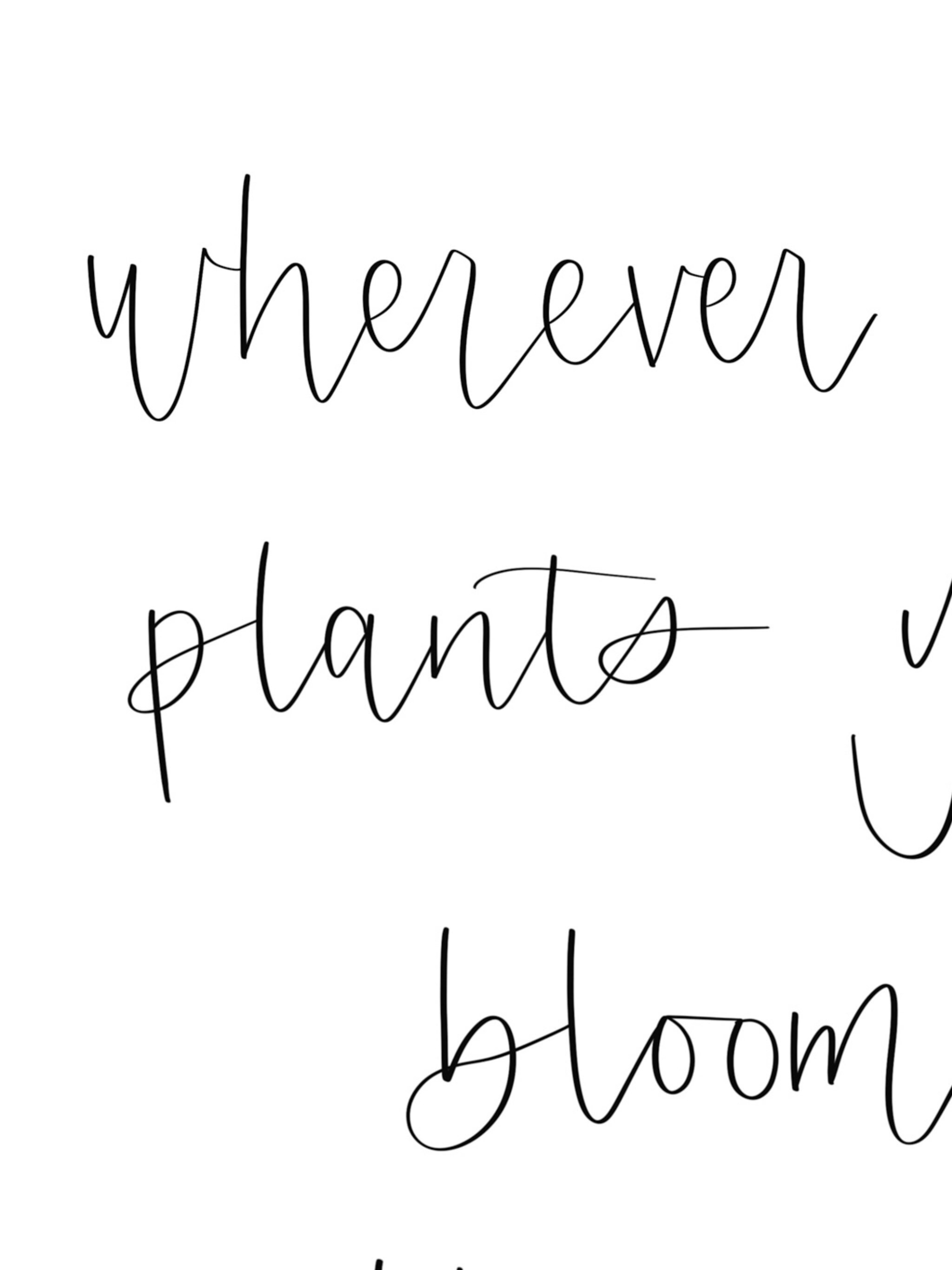 Wherever Life Plants You Bloom With Grace, Home Decor, Simple Home