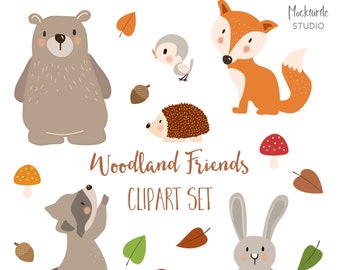 Forest Animal Clipart – Woodland Friends - 18 PNG Images