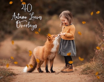 40 Autumn Leaves Photo Overlays - Falling Leaves - Fall Pictures - Photoshop