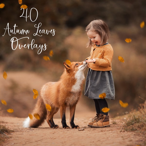 40 Autumn Leaves Overlays - Falling Leaves - Photoshop Overlays