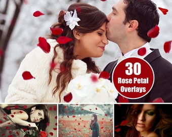 Flower Petals Photo Overlays - Rose Petal Photo Effect | Valentine Wedding Overlay | Photoshop