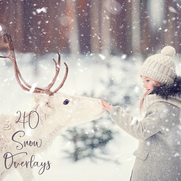 40 Snow Photo Overlays -  Snow Photo Overlays - Holiday Photo Overlays - Snow Photoshop Overlays