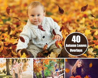 40 Autumn Leaves Overlays - Falling Leaves - Photoshop Effects