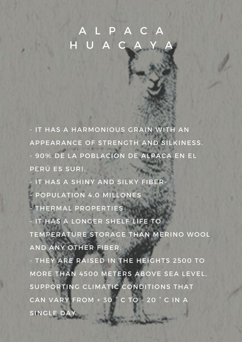 ALPACA HUACAYA