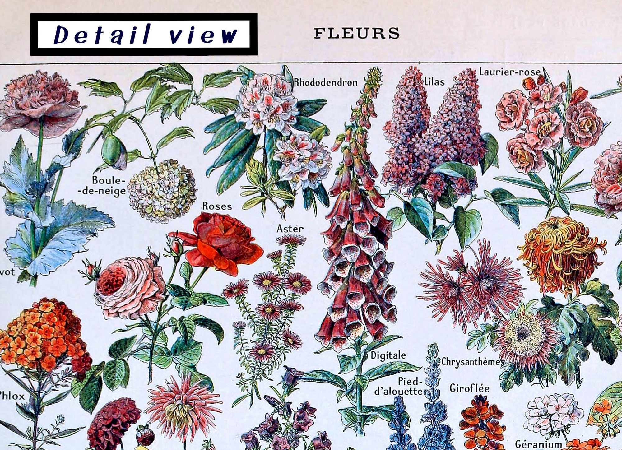 Hand-cut Wooden Jigsaw Puzzle for Adults Fleurs flowers - Etsy