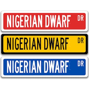 May include: Three street signs with the text "NIGERIAN DWARF DR" in white letters on a red, yellow, and blue background.