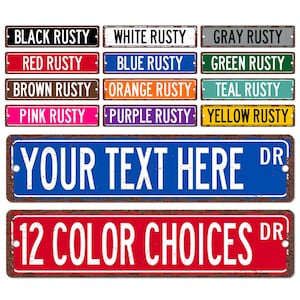 Custom Street Sign, Metal Street Sign, Personalized Street Sign, Make Your Own Street Sign, Vintage Design, 12 Color Choices S-CUS001