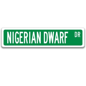 May include: A green street sign with white text that reads "NIGERIAN DWARF DR".