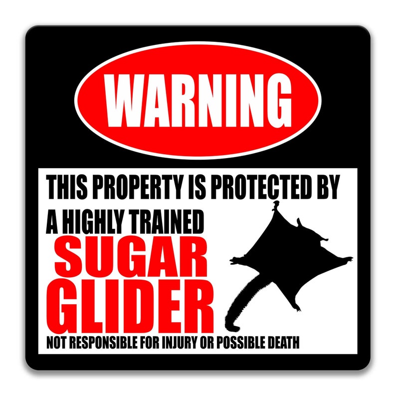 Sugar Glider Sign Pet Sugar Glider Sign Sugar Glider Accessories Sugar Glider Warning Sign Metal Sign Novelty Sugar Glider Decor Z-PIS042 image 4