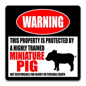 Pigs Warning Sign Pig Sign Miniature Pig Warning Sign Funny Pig Sign Pig Barn Sign Yard ...