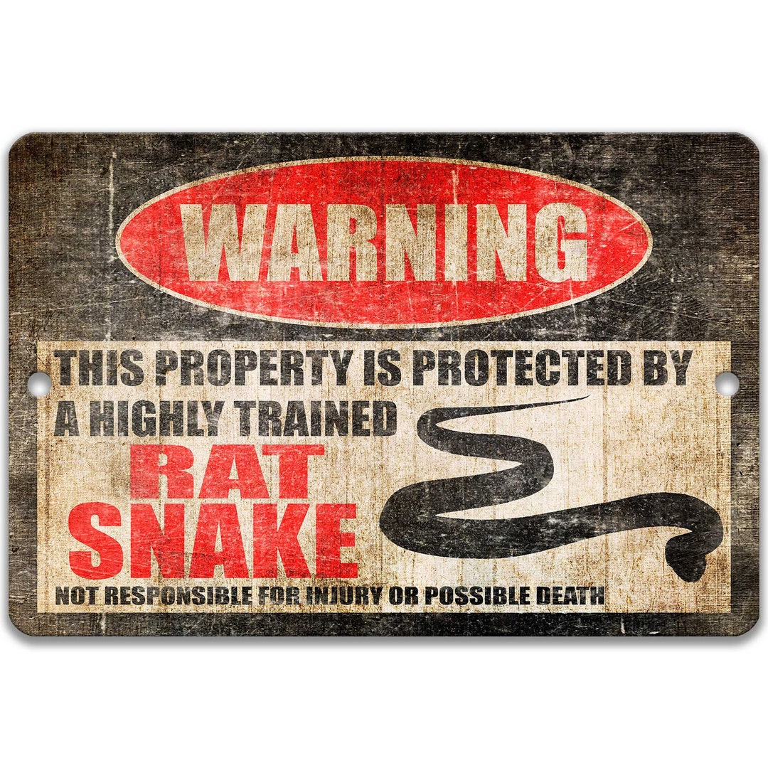 M R Snakes. Sign Rat Snake Warning Sign Rat Snake Sign Rat Snake Gift Rat Snake ...
