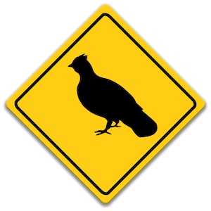 Moorhuhn-Überquerung Zeichen, Auerhahn-Kreuzung, Auerhahn-Dekor, Auerhahn-Zeichen, lustiges Schneehuhn-Geschenk, Cabin Wildtier-Zeichen, wild lebende Tiere 8-XNG082