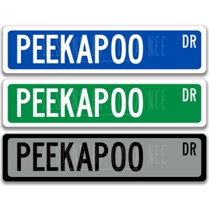 May include: Three street signs with the text "PEEKAPOO DR" in white letters on a blue, green, and gray background.