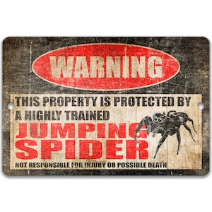 May include: A rectangular metal sign with a distressed finish. The sign features the word "WARNING" in a red oval, and text stating "THIS PROPERTY IS PROTECTED BY A HIGHLY TRAINED JUMPING SPIDER". A black spider illustration is also present.