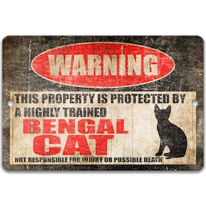 Bengal cat accessories cheap