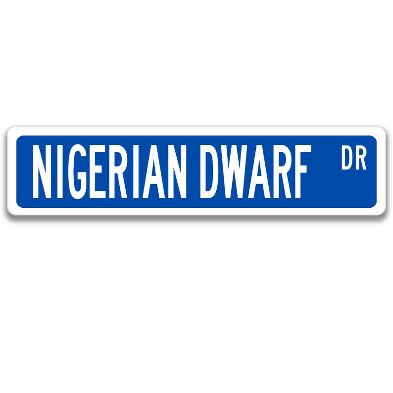 May include: Blue street sign with white text that reads "Nigerian Dwarf Dr."