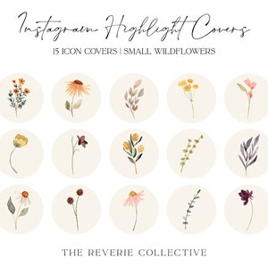 15 copertine Instagram con acquerello botanico di fiori selvatici, icone di Instagram Story Highlight, icone di app iOS, widget di iPhone, Instagram Highlights
