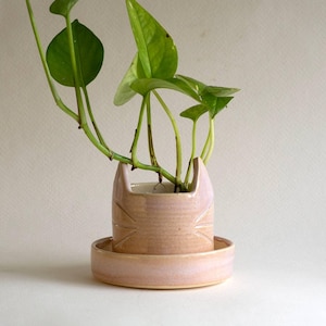 May include: A light pink ceramic cat-shaped planter with a matching saucer, holding a green leafy plant. The planter has a textured surface and cat face details. The plant's vines extend upwards.