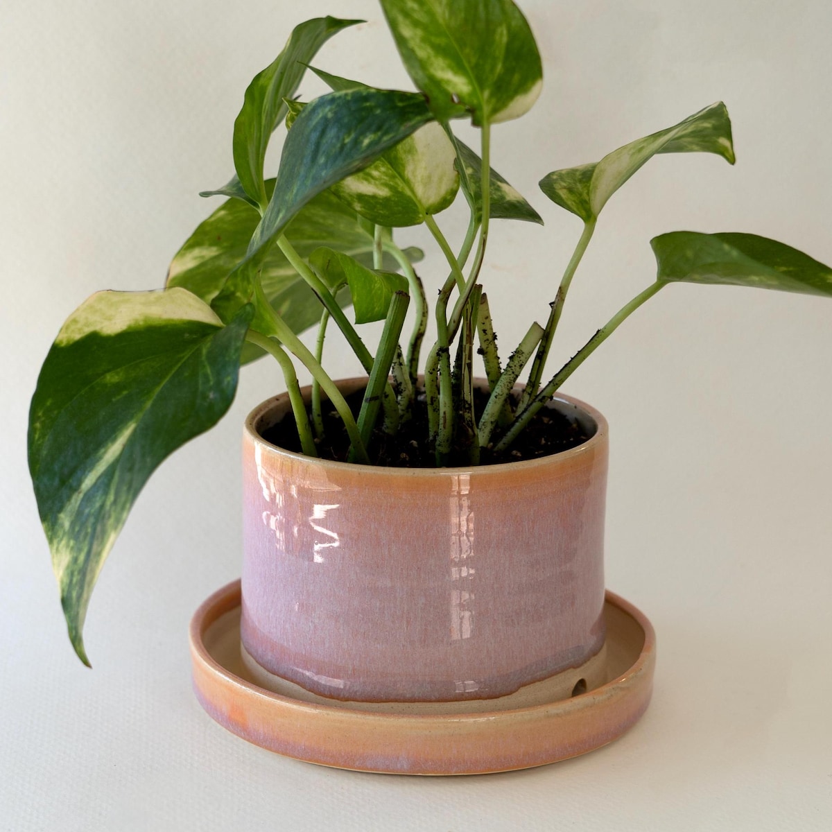 Tabletop Planter with Drainage, (Handmade Ceramic, Wheel Thrown, 2 drainage holes, Attached Base Plate, optional bottom watering)