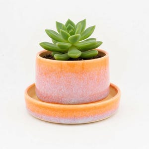 May include: A small green succulent plant potted in a cylindrical ceramic planter with a matching saucer. The planter and saucer feature a gradient glaze that transitions from a vibrant orange at the top to a soft, pale pink at the base.