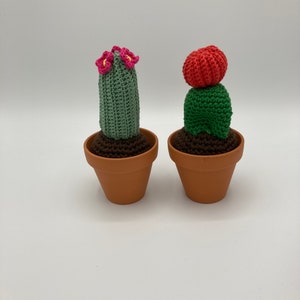 Crochet Mini Handmade Cactus with Flower, Crochet pot, Fake Cactus, Housewarming gift