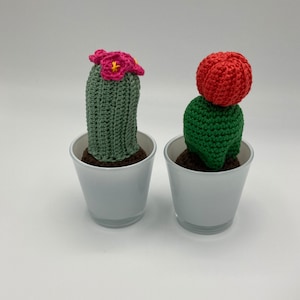 Crochet Mini Handmade Cactus with Flower, Crochet pot, Fake Cactus, Housewarming gift