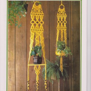 May include: Two macrame plant hangers with wooden shelves, one with a green plant in a brown pot and the other with a green plant in a white pot. The macrame is yellow with black beads.