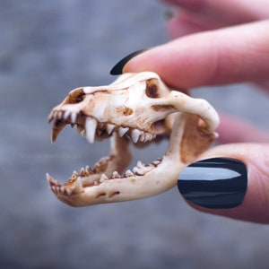 Wolf skull with moving jaw necklace, 3D printed in HD quality, shaman tribal vikings
