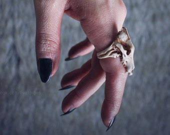 Wolf skull ring, resin replica hand painted, gothic shaman, gift for him, man ring