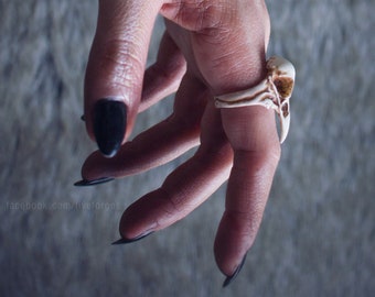 Teschio di Corvo anello, replica in resina dipinta a mano, dark gotico anello uomo, sciamano tribale